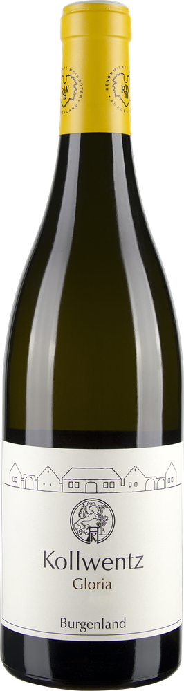 Wein aus Österreich Rarität Chardonnay Gloria 2019 Verkaufseinheit