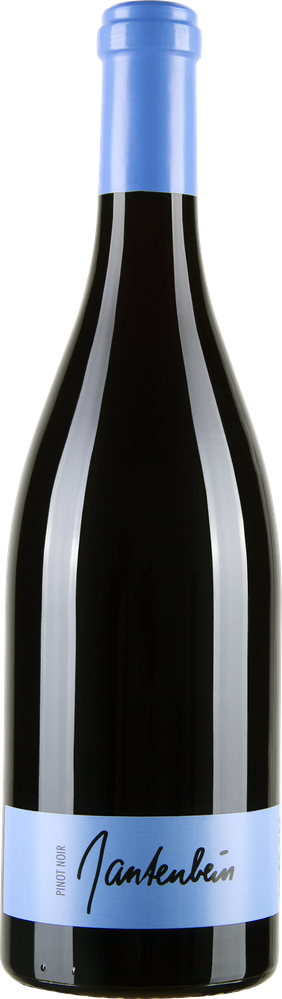 Wein aus Schweiz Pinot Noir 2022 Glasflasche
