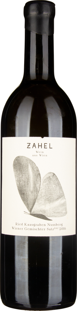 Wein aus Österreich Kaasgraben Wiener Gemischter Satz DAC 2019 Glasflasche